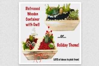 Plant Nite: Holiday Theme or Owl